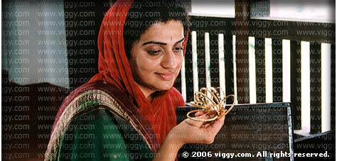 Pavitra Lokesh in Nayineralu